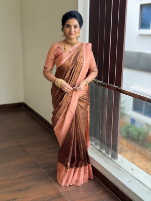 Designer beautiful banarasi silk pink saree