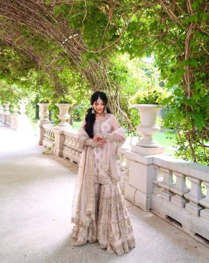 Designer beautiful heavy faux georgette chiku palazzo dupatta top