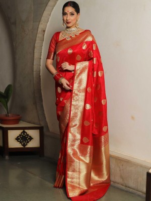 Celebrated beautiful designer organza banarasi red saree