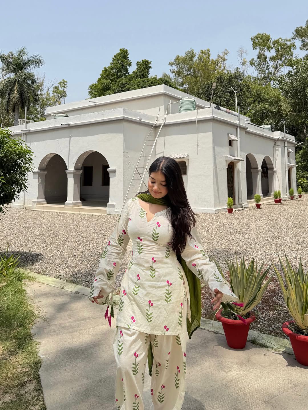 Exclusive heavy pure cameric cotton mehendi salwar suit