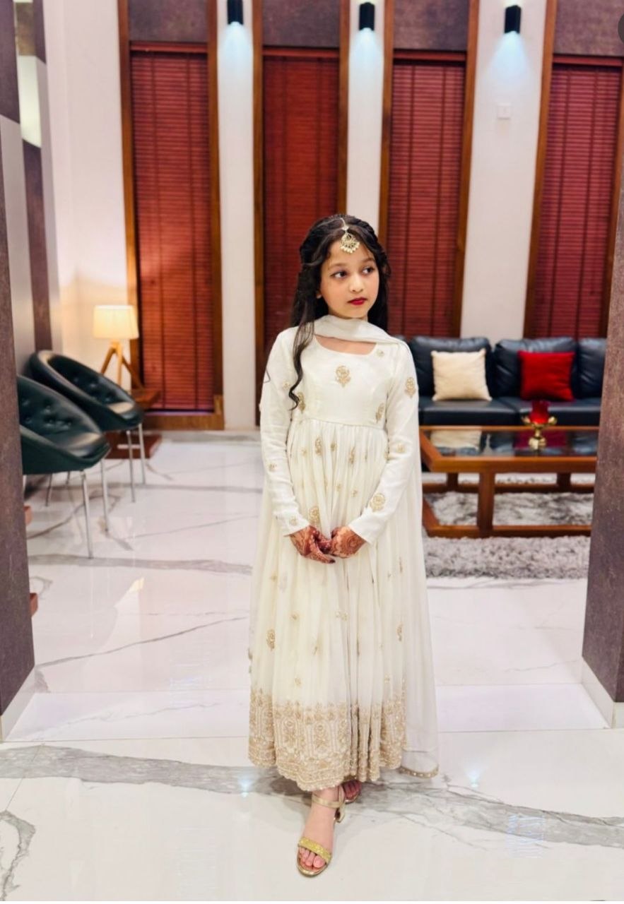 Elegance embroidery vichitra cream gown